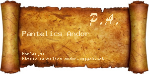 Pantelics Andor névjegykártya